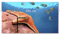 W-S-2545-C01-00014-T