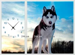 1C-14-2p-W