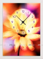 1C-48-50x70-W