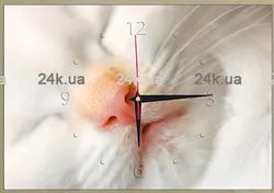 24C-1-30x45-W