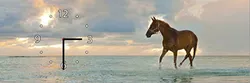 W-S-2575-C01-00005-T