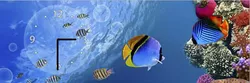 W-S-2575-C01-00019-T