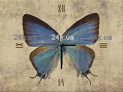 W-S-3040-C01-00008-T