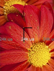 W-S-3040-C01-00012-T
