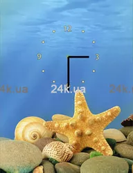 W-S-3040-C01-00016-T