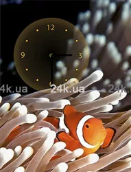 W-S-3040-C01-00017-T