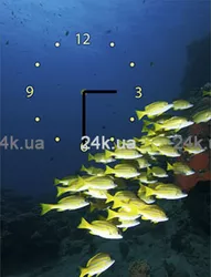 W-S-3040-C01-00019-T