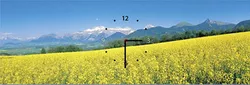 W-S-3090-C01-00014-T