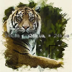 W-S-6060-C01-00015-T