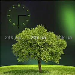 W-S-6060-C01-00019-T