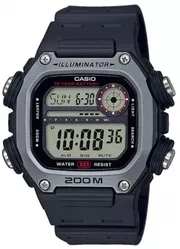 DW-291H-1AVEF