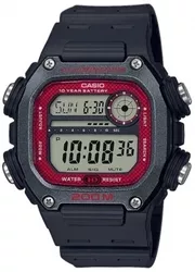 DW-291H-1BVEF