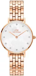 DW00100613