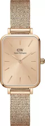 DW00100484