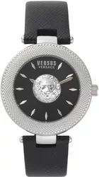 Vsp212117
