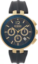 Vsp762218